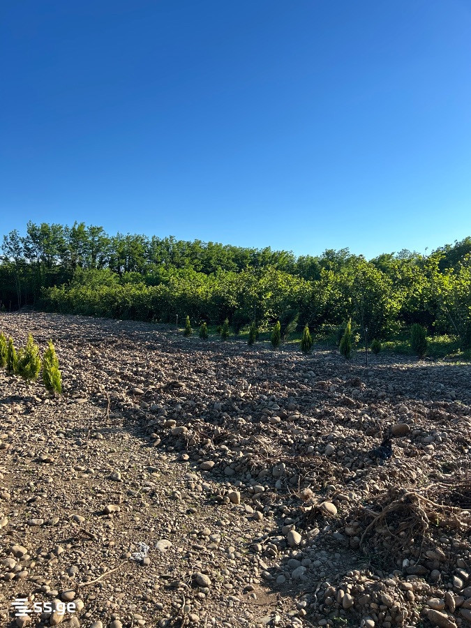 Land For Sale. Tskaltubo view 6