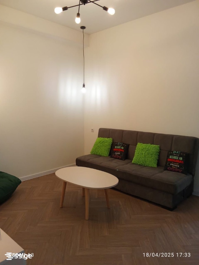 2 Room Flat Daily Rent. Rustavi view 5