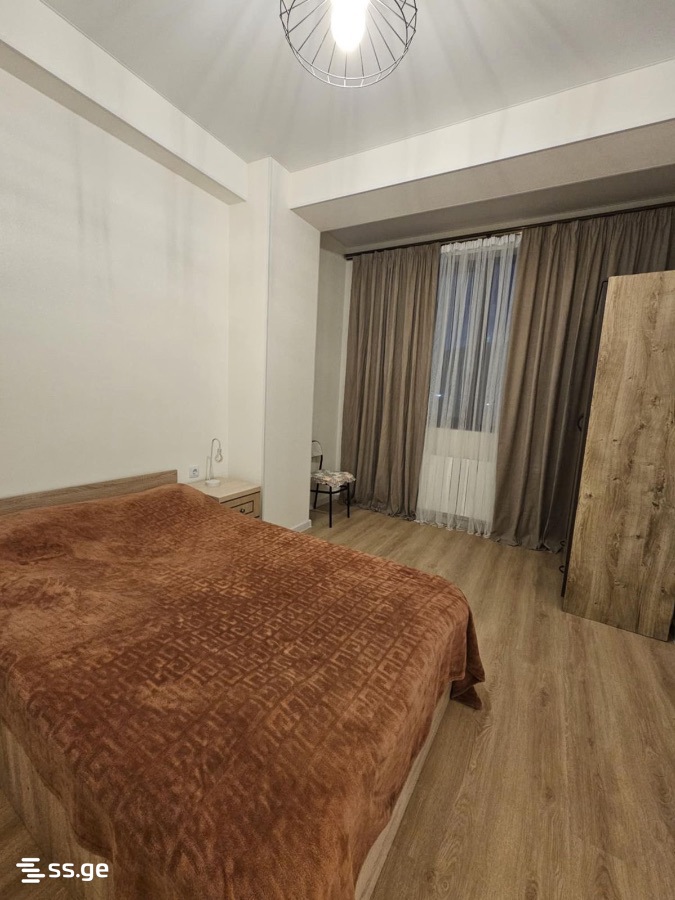 2 Room Flat Daily Rent. Rustavi view 9