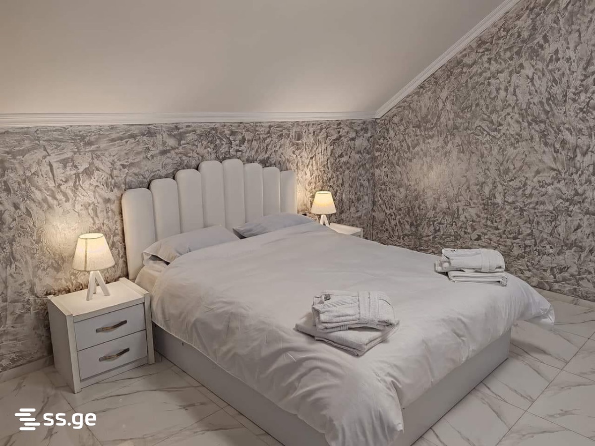 8 Room Private House Daily Rent. Kutaisi view 9