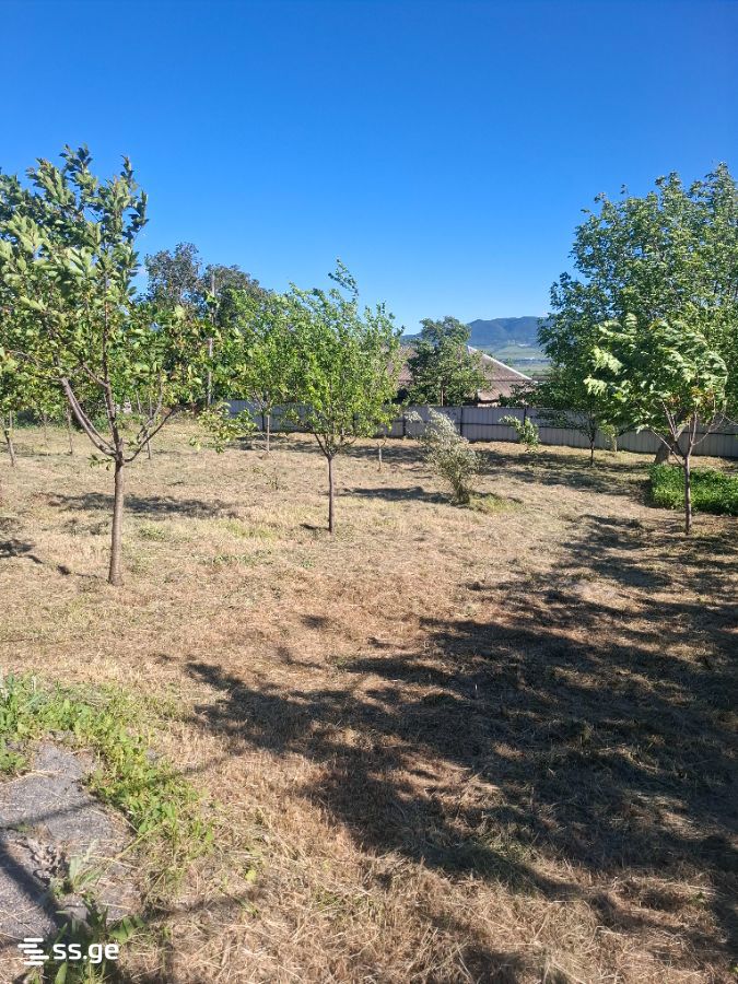Summer Cottage For Sale. Tsilkani view 6