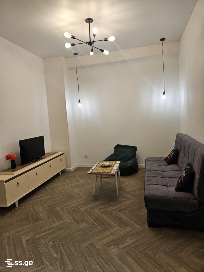 2 Room Flat Daily Rent. Rustavi view 3