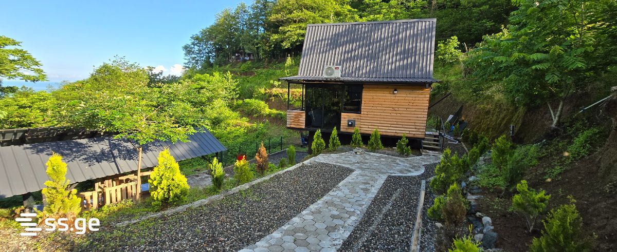 3 Room Summer Cottage For Rent. Batumi view 9