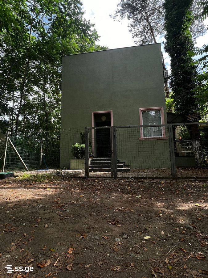 3 Room Summer Cottage Daily Rent. Shekvetili view 3