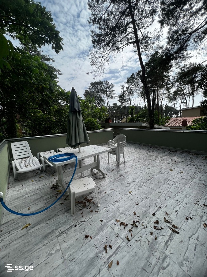 3 Room Summer Cottage Daily Rent. Shekvetili view 12