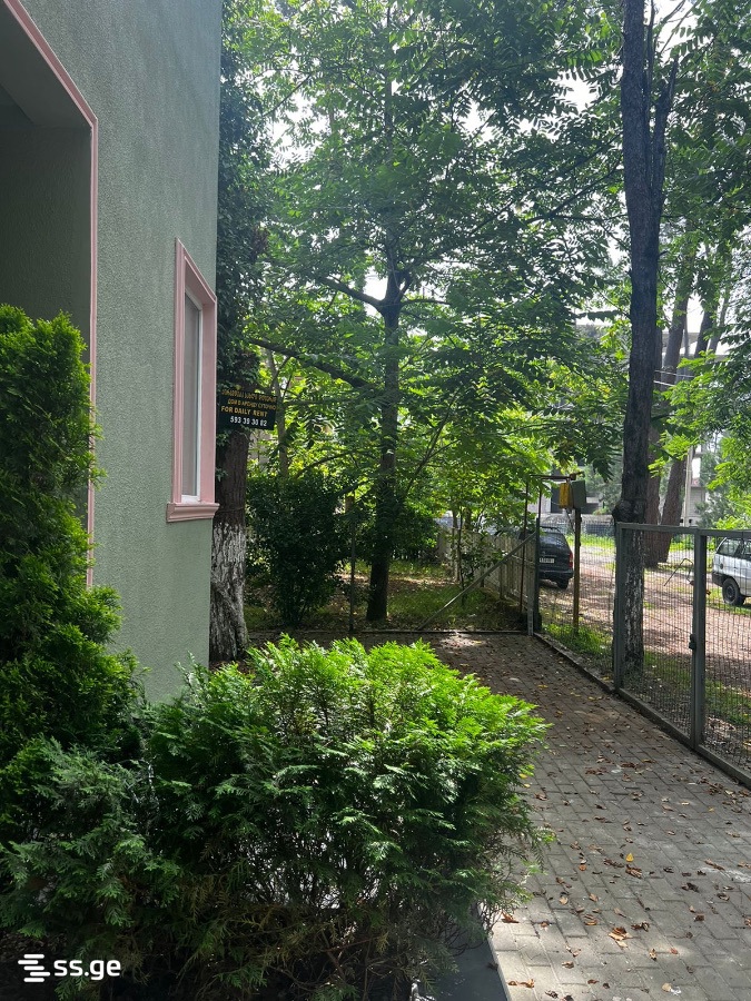 3 Room Summer Cottage Daily Rent. Shekvetili view 2