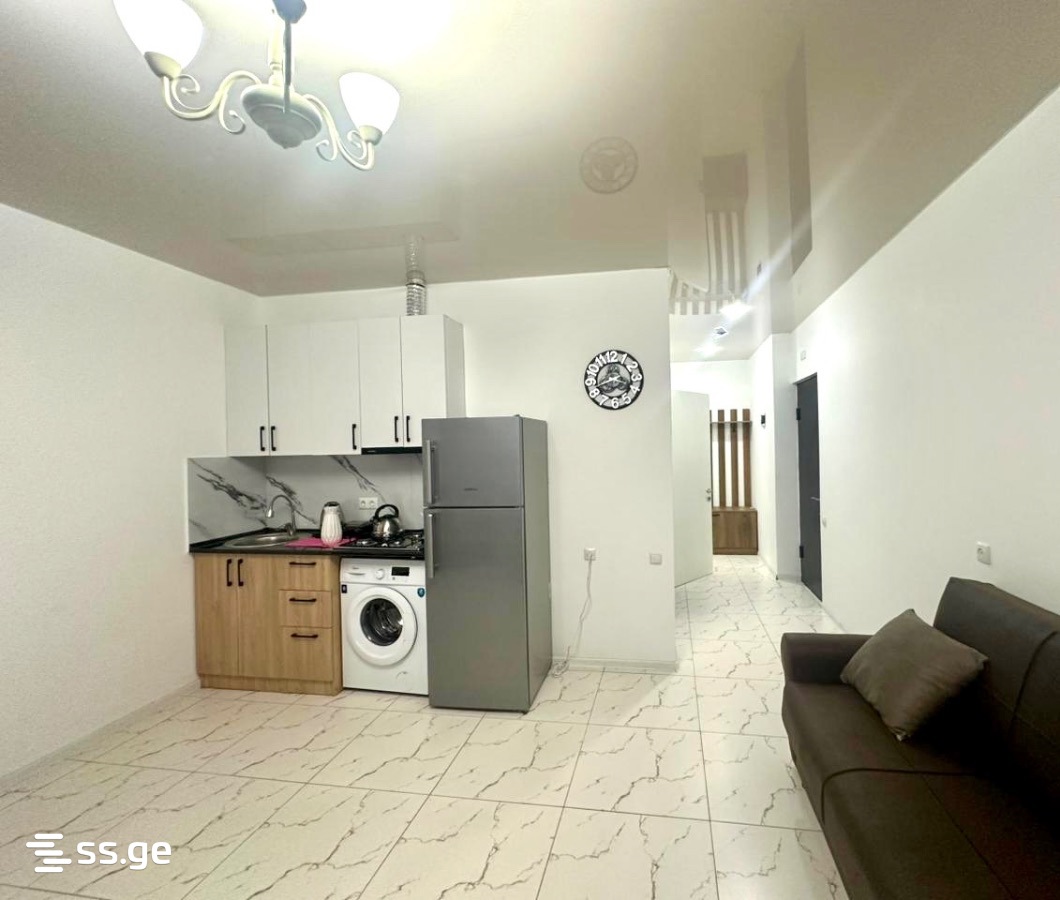 2 Room Flat For Rent. Batumi view 10