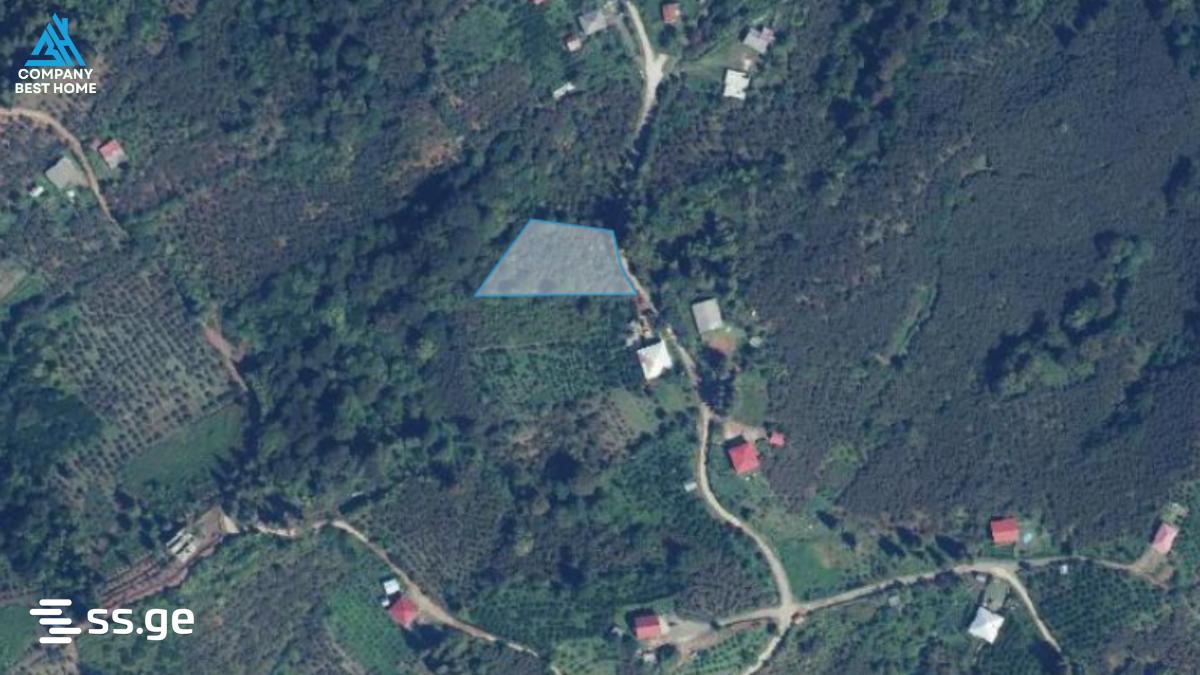 Land For Sale. Kobuleti, 1 of 1