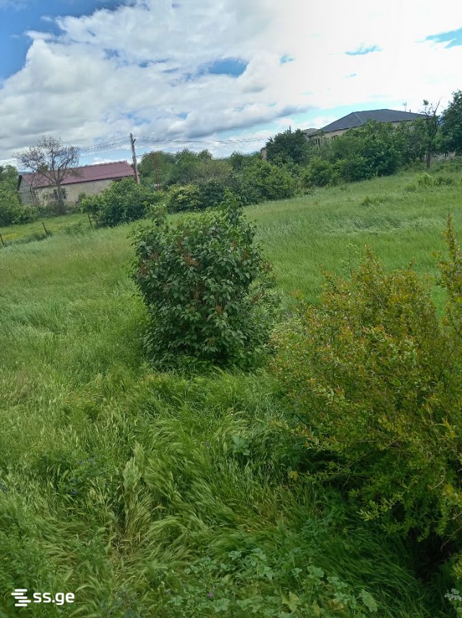 2 Room Private House For Sale, 4 of 4