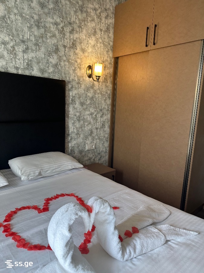 2 Room Flat Daily Rent. Varketili, 3 of 4