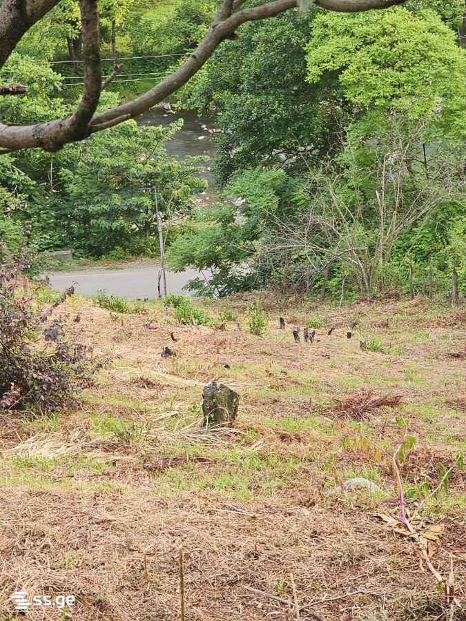 Land For Sale. Chaqvi view 9