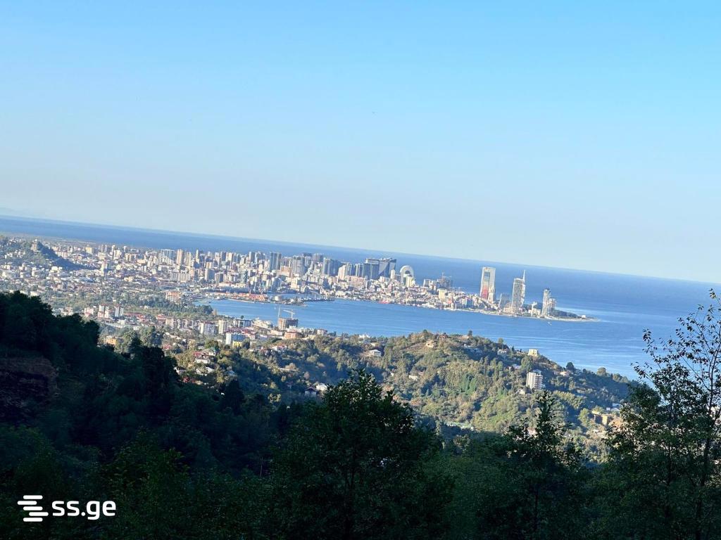 3 Room Summer Cottage For Rent. Batumi view 12