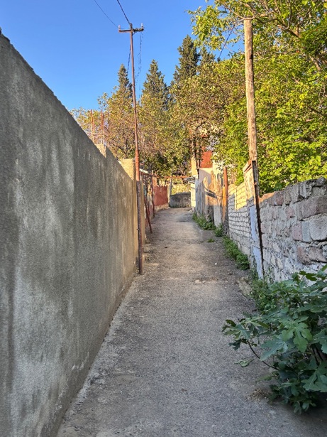 https://static.ss.ge/20260613/5_bbd6e4c5-81e7-4318-b292-8fbb4fb1d6dc_Thumb.jpg