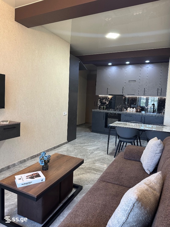 2 Room Flat Daily Rent. Varketili view 2