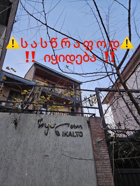 https://static.ss.ge/20260613/6_ad87a841-9fe8-407f-a4b8-a821ab2b0f70_Thumb.jpg