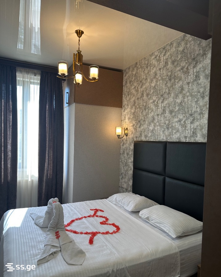 2 Room Flat Daily Rent. Varketili, 1 of 4