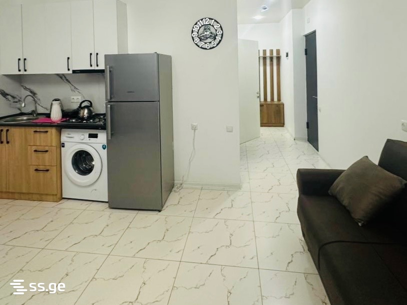 2 Room Flat For Rent. Batumi view 6