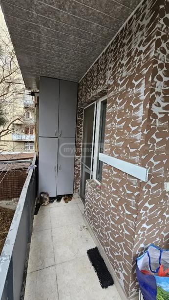 https://static.ss.ge/20260614/11_2ca3313e-f005-4e8d-a170-7971614fc654_Thumb.jpg