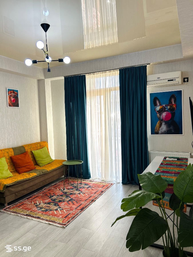 2 Room Flat Daily Rent. Didi Digomi view 6
