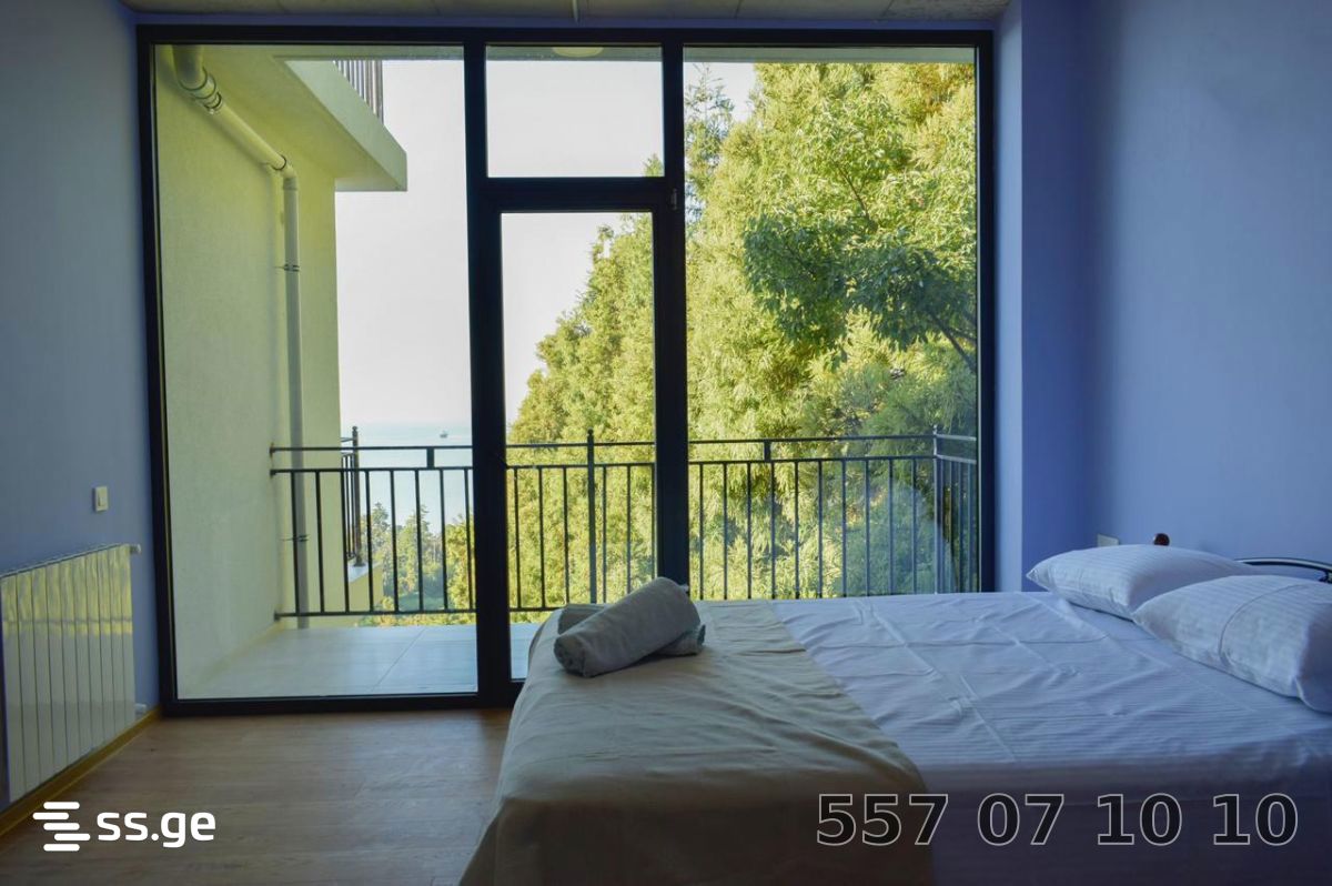 8 Room Private House Daily Rent. Makhindjauri view 5