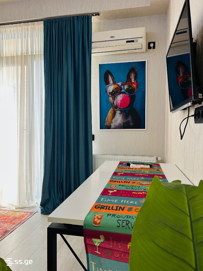 2 Room Flat Daily Rent. Didi Digomi, 3 of 4