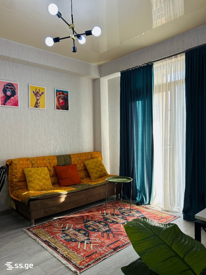 2 Room Flat Daily Rent. Didi Digomi, 4 of 4