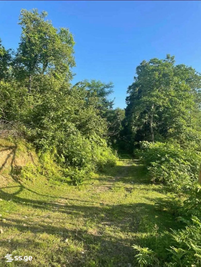 Land For Sale. Chaqvi view 1