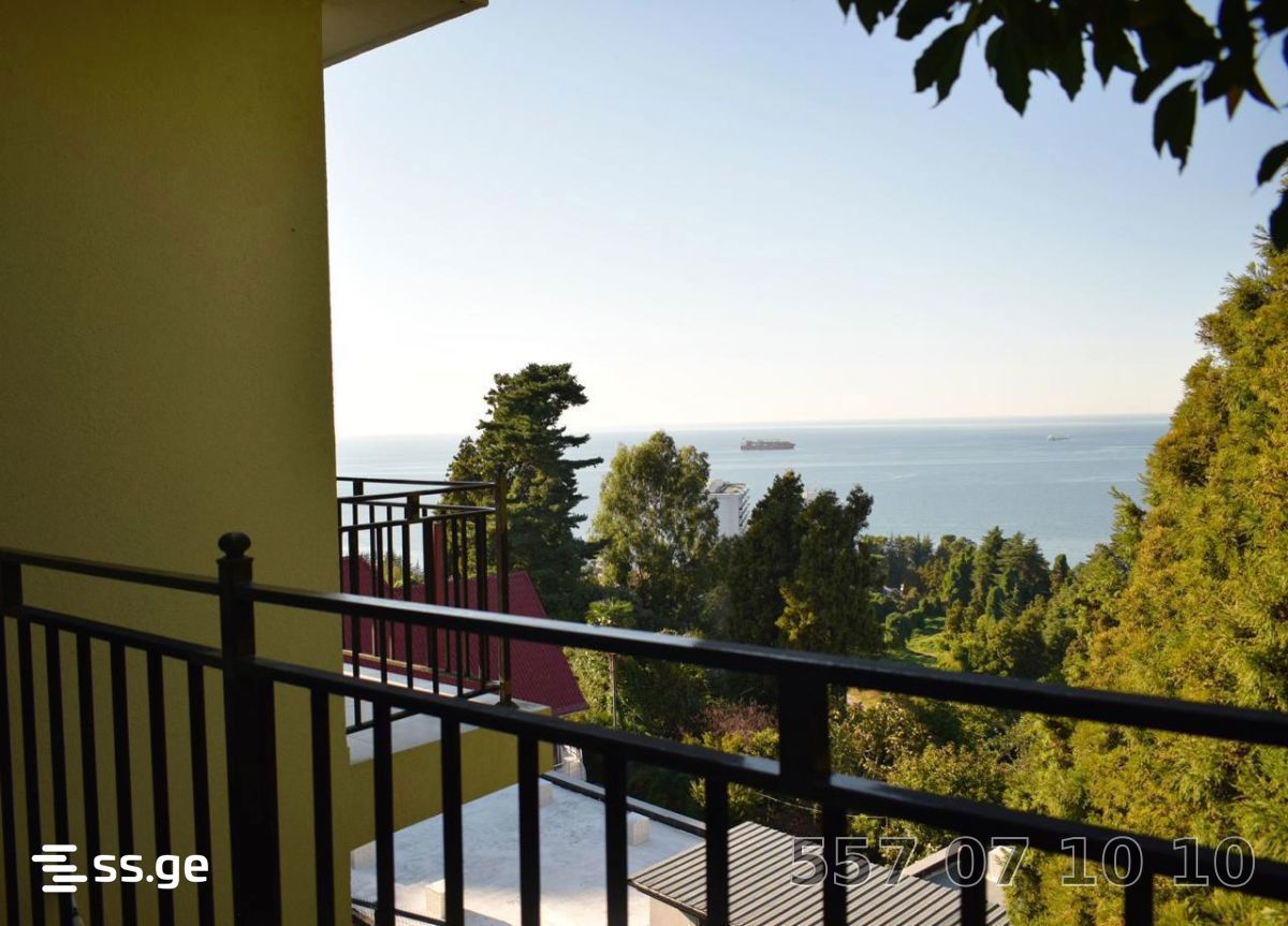 8 Room Private House Daily Rent. Makhindjauri view 8