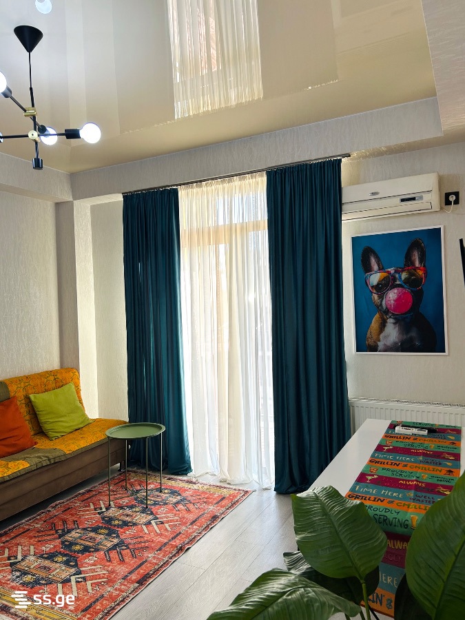 2 Room Flat Daily Rent. Didi Digomi view 2