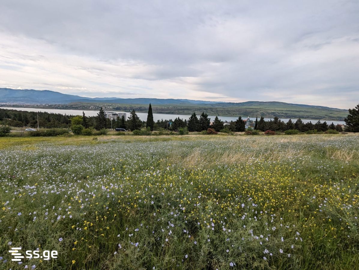 Land For Sale. Nadzaladevi, 1 of 1