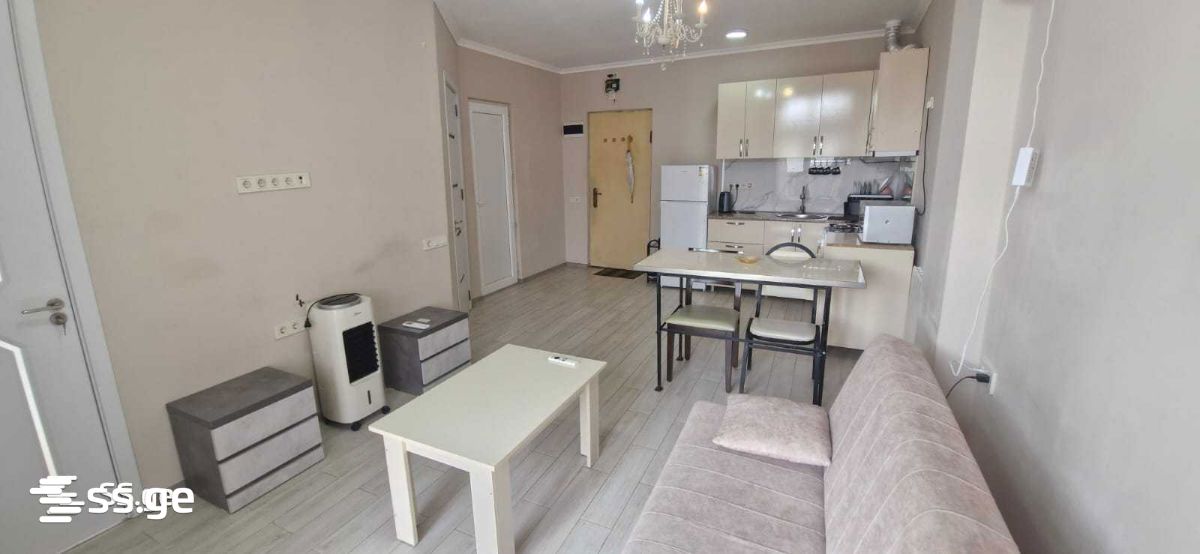 2 Room Flat For Rent. Batumi view 2