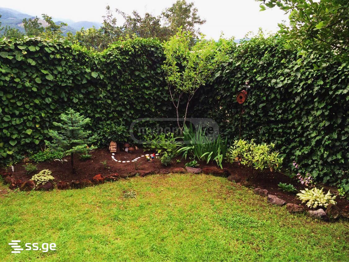4 Room Summer Cottage For Rent. Mtskheta, 6 of 12