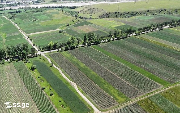 Продажа Земля в мисакциели view 1
