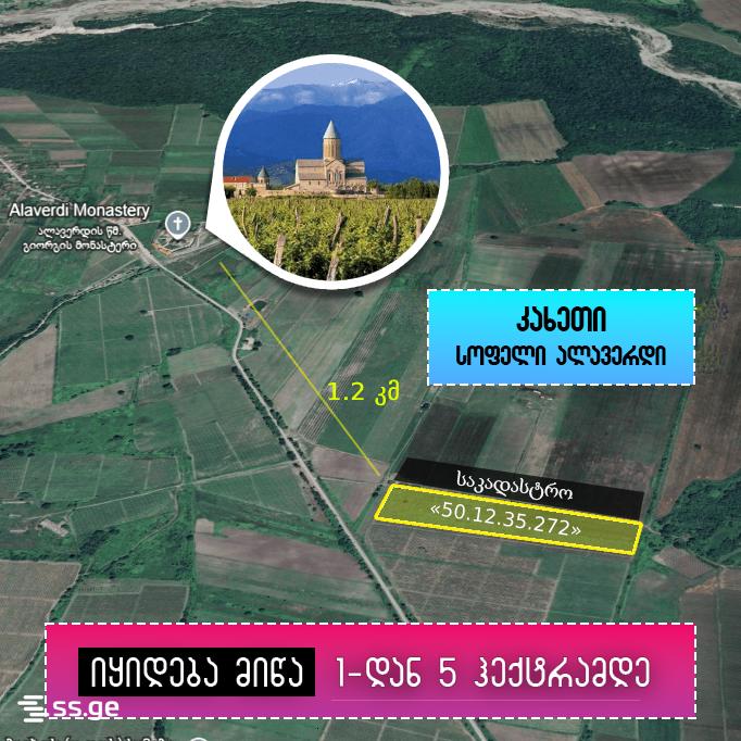 Agricultural Plot For Sale In Akhmeta view 4