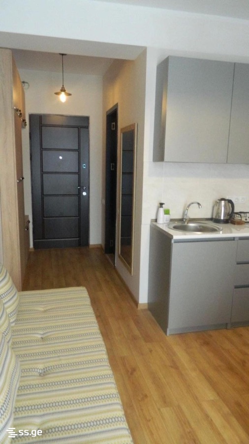 1 Room Flat Daily Rent. Bakuriani, 3 of 4