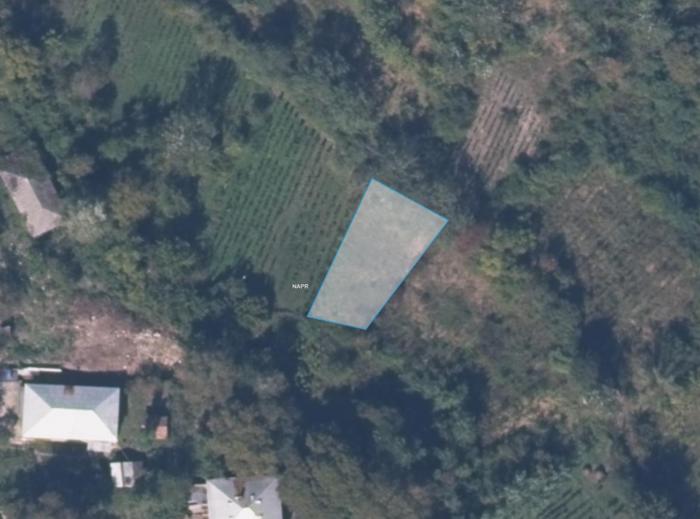 https://static.ss.ge/20260616/12_4eb8bd6b-f5f1-4bc8-ae25-bf1caa422ab3_Thumb.jpg