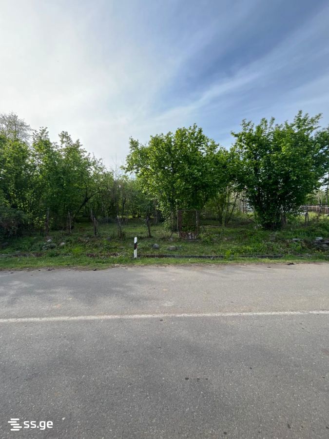Land For Sale. Ozurgeti view 8
