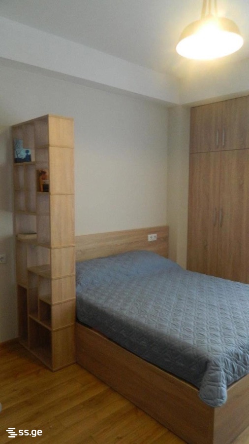 1 Room Flat Daily Rent. Bakuriani view 9