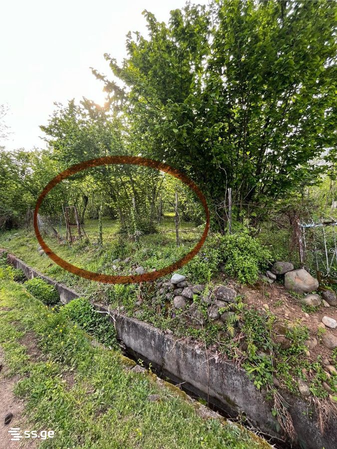 Land For Sale. Ozurgeti view 7