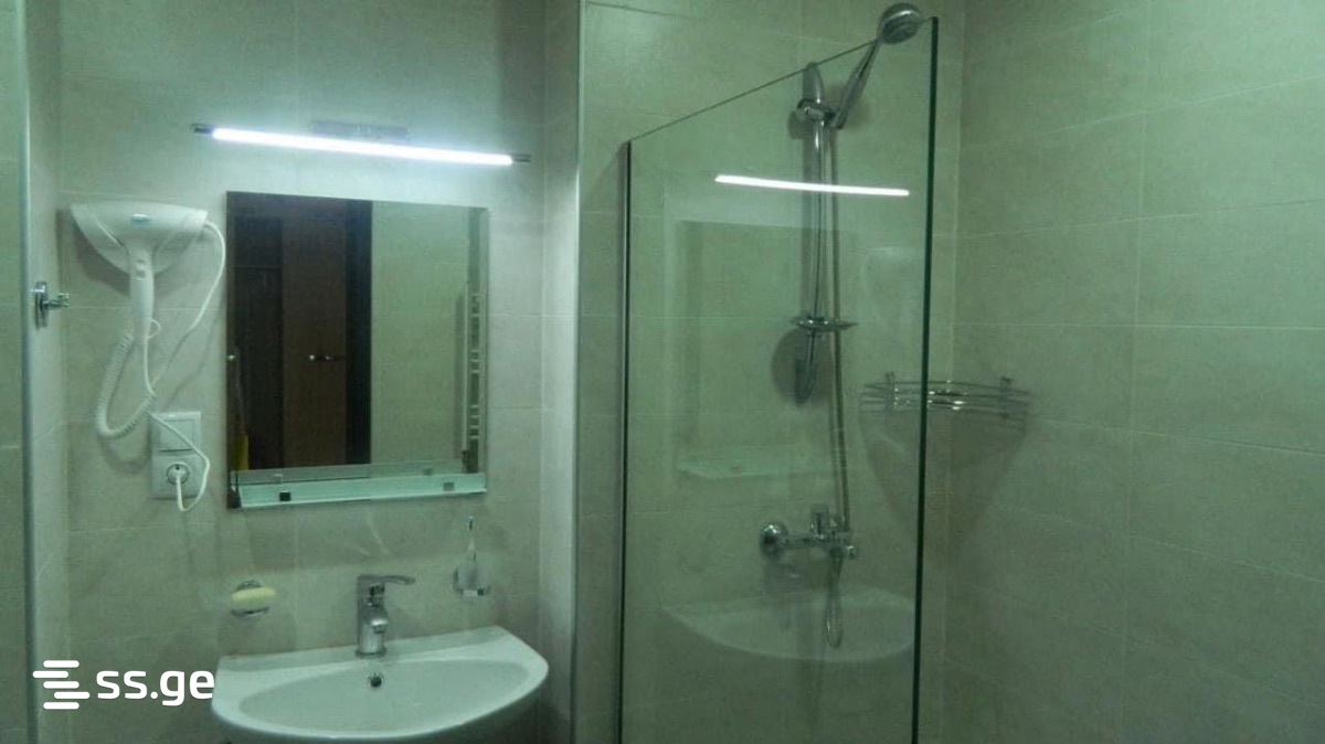 1 Room Flat Daily Rent. Bakuriani view 5