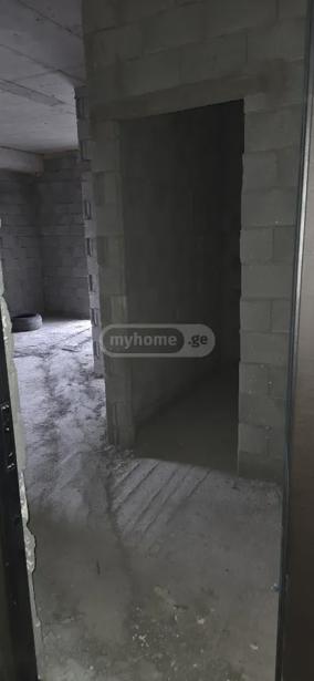 https://static.ss.ge/20260616/17_5d5be8cf-848a-41b9-be9a-2a8116e5bd08_Thumb.jpg