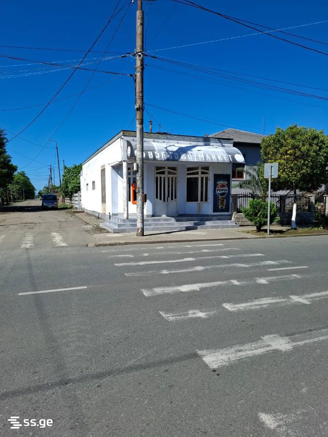 Commercial Space For Rent. Poti view 5