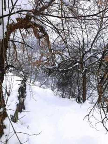 https://static.ss.ge/20260616/1_13070642-ca38-456e-9bbe-75b55c46bdc7_Thumb.jpg