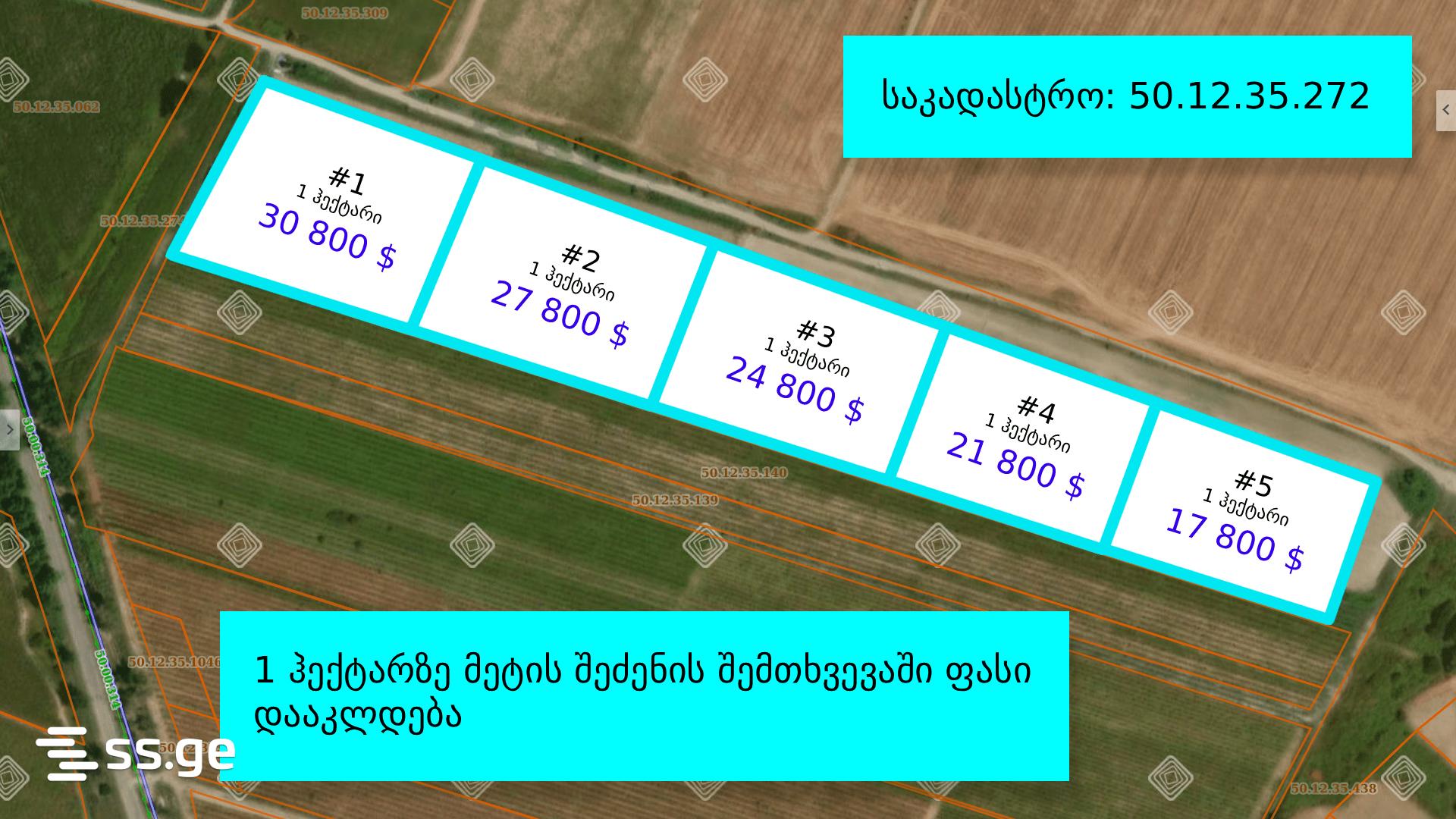 Agricultural Plot For Sale In Akhmeta view 7