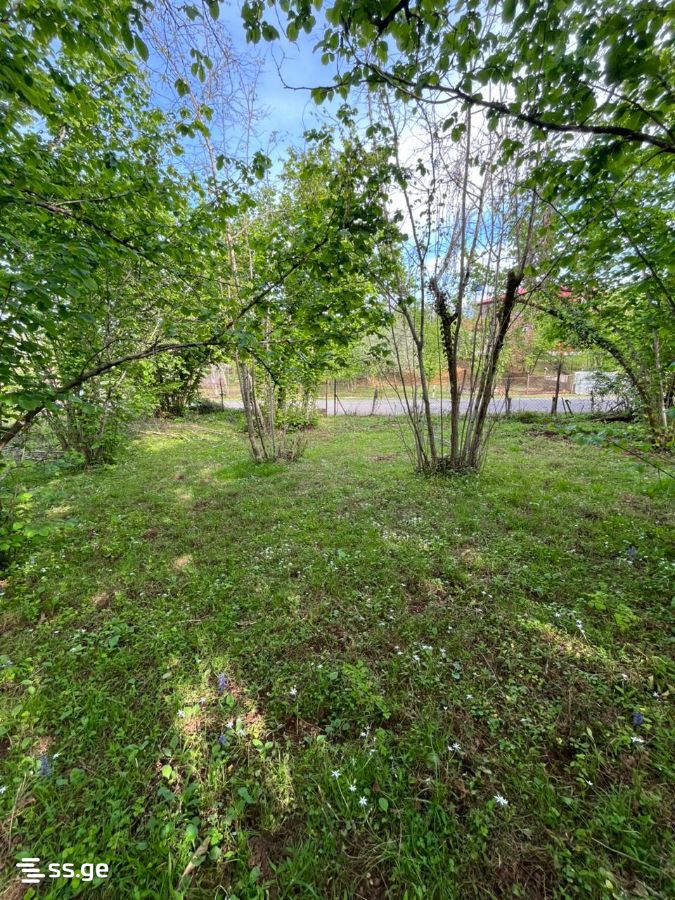 Land For Sale. Ozurgeti view 5