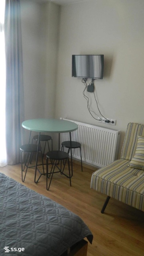 1 Room Flat Daily Rent. Bakuriani view 7