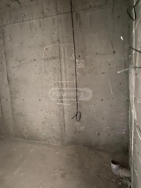 https://static.ss.ge/20260616/7_659cd29e-0081-4c98-ab2c-95d051ffaa95_Thumb.jpg