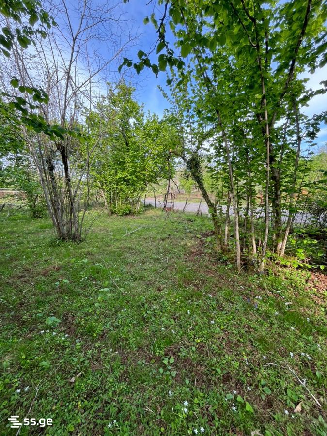 Land For Sale. Ozurgeti view 6