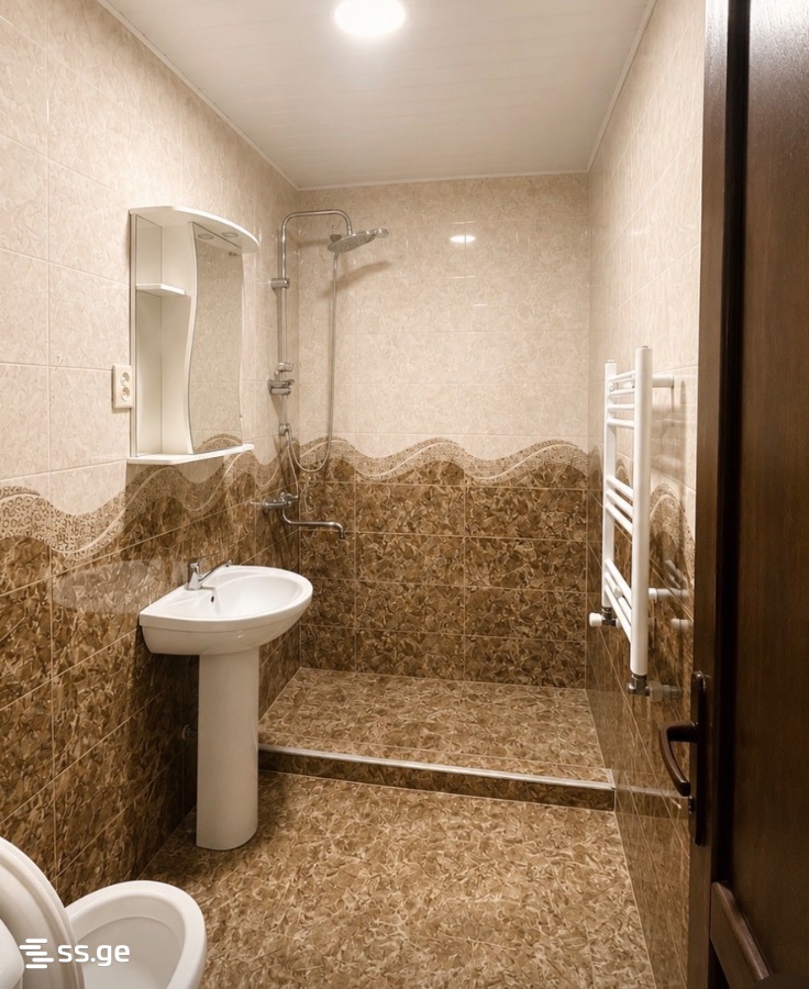 3 Room Flat Daily Rent. Borjomi view 5