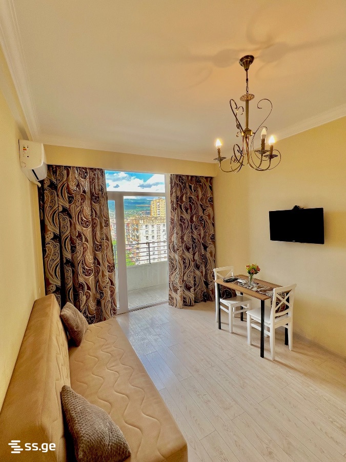 2 room Flat For Rent. Mukhiani - Widok 5